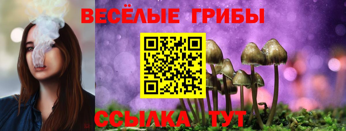 Галлюциногенные грибы прущие грибы Маркс