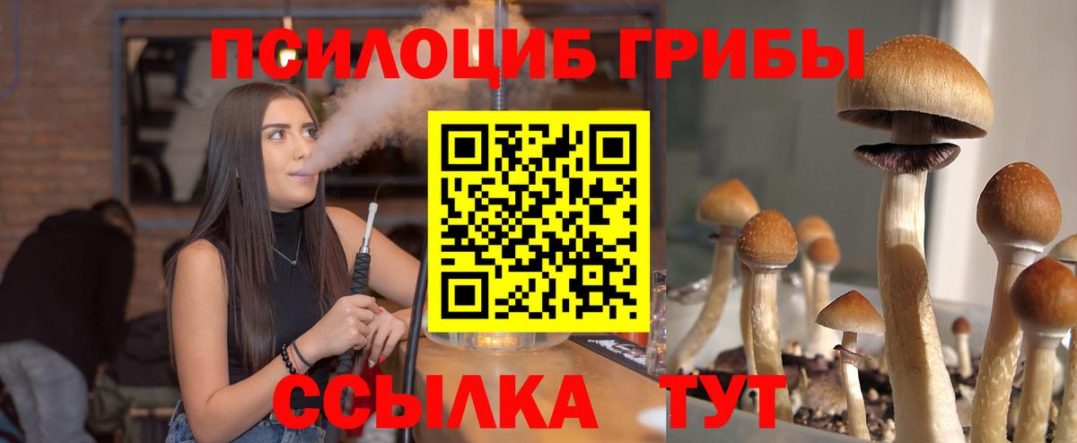 Маркс  Псилоцибиновые грибы мухоморы  Вход с VPN  Галлюциногенные грибы Psilocybine cubensis 